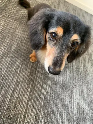 食べながら魅せボディ éclatJua川越のエステ・リラクイメージ