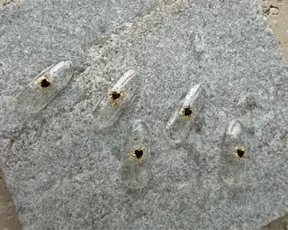 ネイル tree houseのネイルデザイン