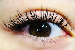 マツエク・マツパ POPPY eyelash 川崎本店所属・モデル募集 POPPY 川崎のマツエク・マツパデザイン