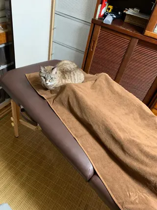 ロング メンズ キッズ 院長  新垣 樹のエステ・リラクイメージ