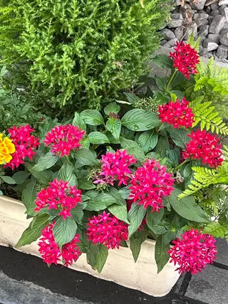 ミディアム カラー NOOS表参道所属・noos表参道 ナツミのヘアスタイル