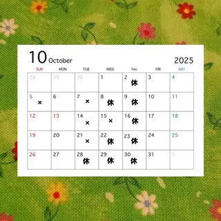 林 咲弥那のヘアスタイル