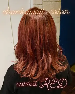 セミロング カラー シェアサロンR所属・川合 勇気のヘアスタイル