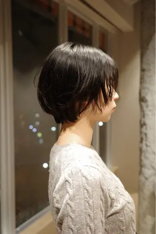 ショート 未 来カットモデル無料のヘアスタイル