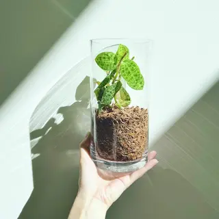 マツエク・マツパ アイブロウ Largo🌿 明治神宮前/表参道のマツエク・マツパデザイン