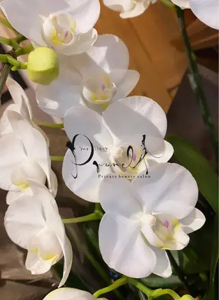 meilleur prunelleのエステ・リラクイメージ