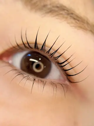 マツエク・マツパ Luxiel eye博多店所属・LuXiel mana🦙のマツエク・マツパデザイン