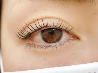 マツエク・マツパ Anela 🦋HARUMIの眉毛・アイブロウイメージ