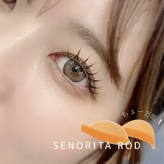 マツエク・マツパ 🌐　BIANCA endo 　🌐のマツエク・マツパデザイン