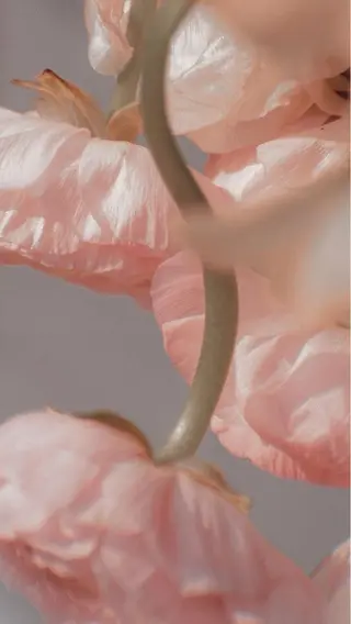 肌質改善🌷 sayuriのエステ・リラクイメージ