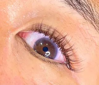 マツエク・マツパ Camarón まつ毛&眉毛サロンのマツエク・マツパデザイン