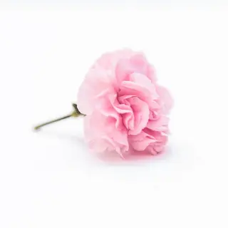 TIÁM eyelashのマツエク・マツパデザイン