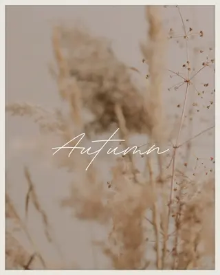 ネイル nailsalon room.のネイルデザイン