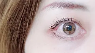 マツエク・マツパ 【fufula】 薬院店のマツエク・マツパデザイン