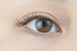 マツエク・マツパ アイサロン フェア 海老名店のマツエク・マツパデザイン