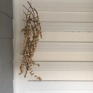 マツエク・マツパ Natsumi フェイシャル/マツパのエステ・リラクイメージ