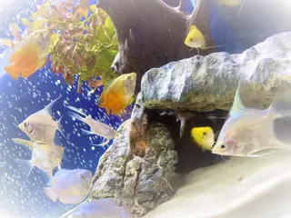 セルフホワイトニングサロン　ラヴィアン所属・ホワイトニングサロン La vie enのその他イメージ