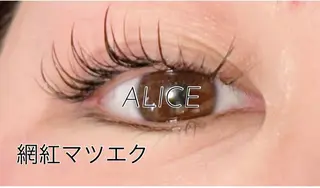 マツエク・マツパ トータルビューティーサロンALICE所属・Yanagida Yurieのマツエク・マツパデザイン