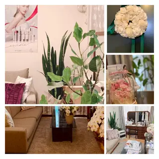 潤い艶肌・身体ケア /貸切りサロンソワンのエステ・リラクイメージ