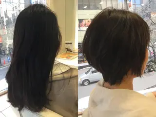 ショート 手櫛でストレート/ 人生を変える美髪へのヘアスタイル