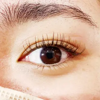 マツエク・マツパ Celeste Venus所属・🧸Celeste Venusのマツエク・マツパデザイン