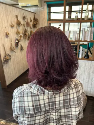 ショート カラー 早坂 さくらのヘアスタイル