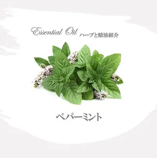 香りの家ローズマリー 🌿アロマリンパのエステ・リラクイメージ