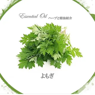 香りの家ローズマリー 🌿アロマリンパのエステ・リラクイメージ