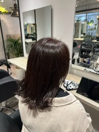 ミディアム カラー ✨️モデル募集中✨️ 上野/神谷 冬桜弥のヘアスタイル