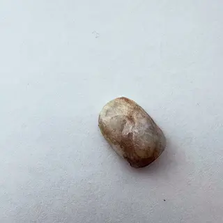 ネイル rinanail所属・rina🎀 ご新規様受付中🌷のネイルデザイン