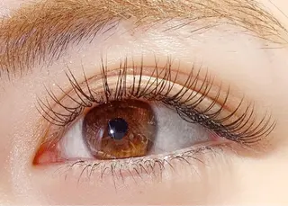 マツエク・マツパ LE PETIT BONHEUR.のマツエク・マツパデザイン