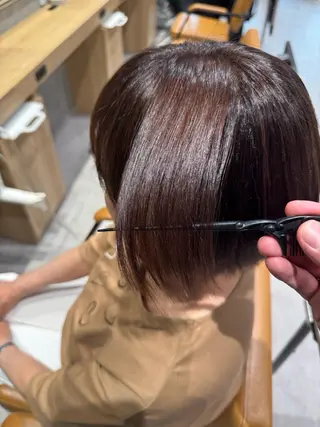 ショート カラー 須田 柚希のヘアスタイル