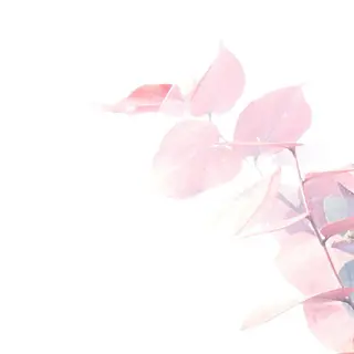 TIÁM eyelashのマツエク・マツパデザイン