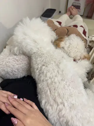 マツエク・マツパ ERINA ♥のネイルデザイン