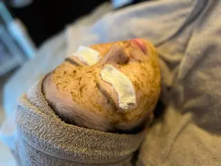 💎JADE💎 齊藤沙也香のエステ・リラクイメージ