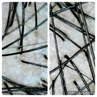 ð
ð
€ð
©ð
ð
salonã®ãšã¹ãã»ãªã©ã¯ã€ã¡ãŒãž