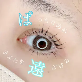 マツエク・マツパ アイブロウ 池袋駅韓国風🇰🇷 束感💗Tomoのマツエク・マツパデザイン