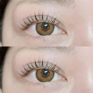 マツエク・マツパ petit ange所属・petit angeのマツエク・マツパデザイン