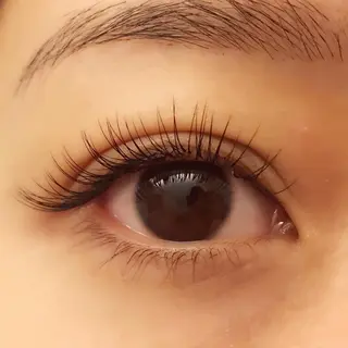 マツエク・マツパ Lanhr所属・〔Lanhr〕 🍋akiのマツエク・マツパデザイン