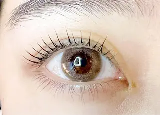 マツエク・マツパ Celeste Venus所属・🧸Celeste Venusのマツエク・マツパデザイン