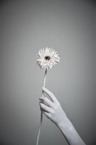 Shizuki Teradaのマツエク・マツパデザイン