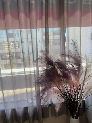 ネイル Van Nail Salonのネイルデザイン