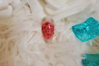 ネイル もも もものネイルデザイン