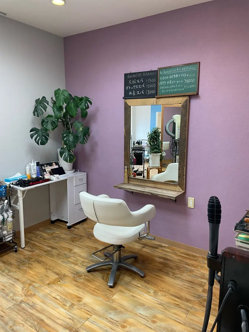 hair  clinic dandelionの内観・外観1