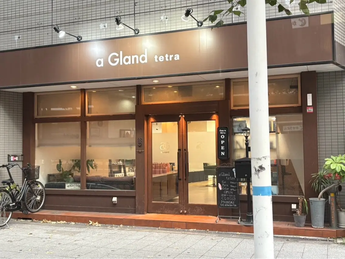 a Gland tetraの内観・外観2