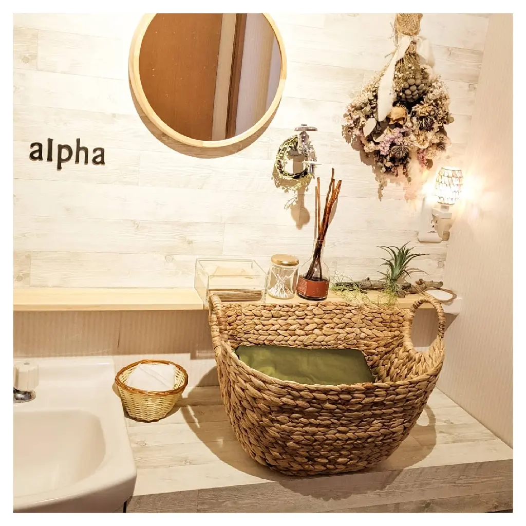 alphaの内観・外観3