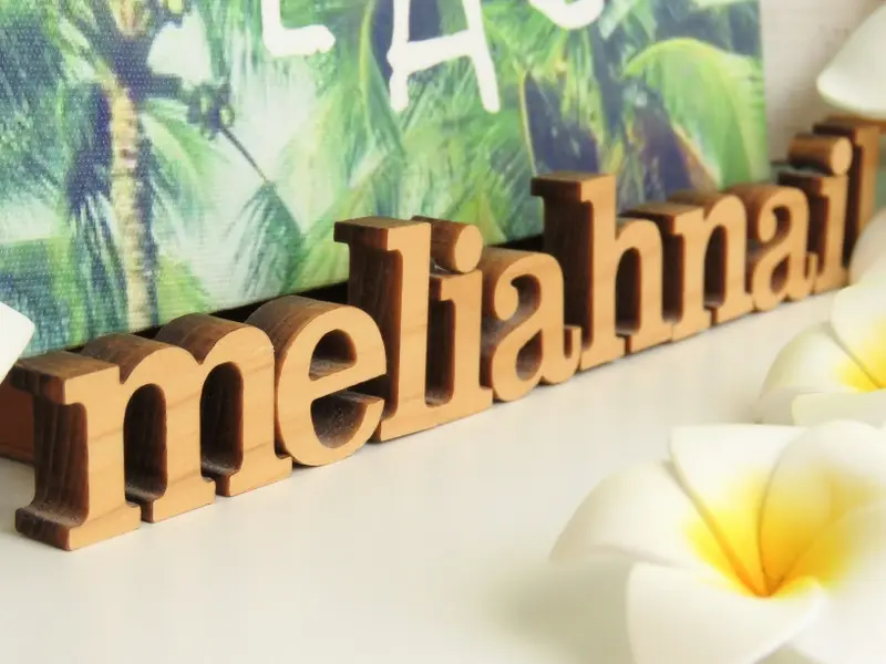 Meliahnailの内観・外観1