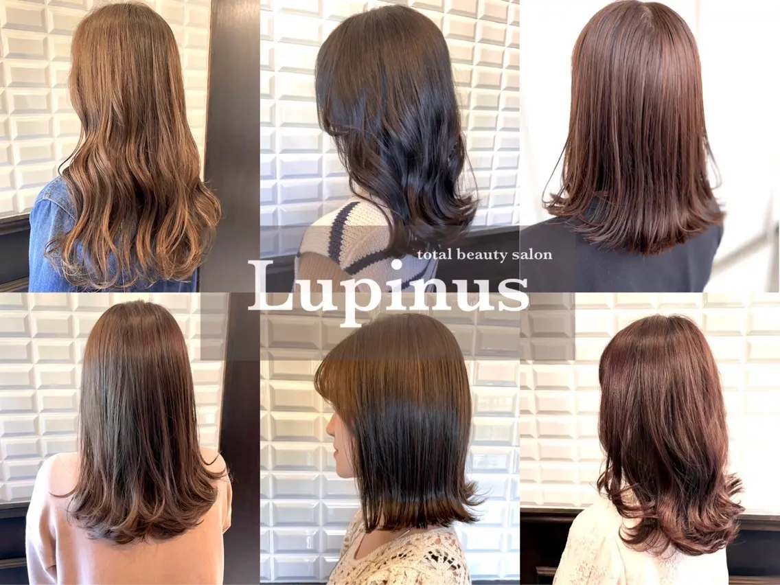 Lupinus中田の内観・外観1