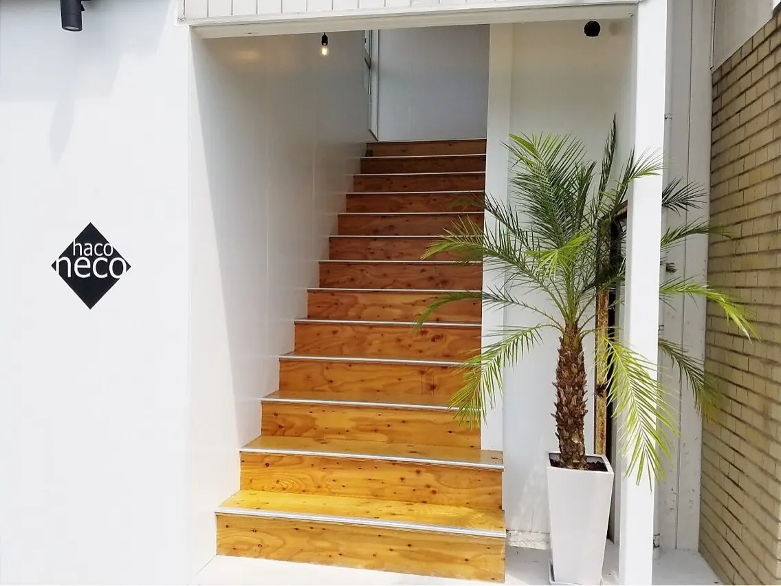 haconeco【ハコネコ】の内観・外観1