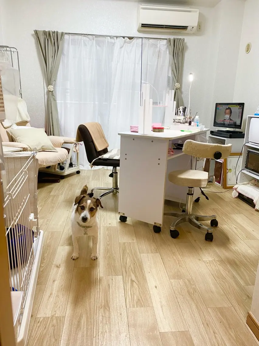 NAIL DOLCEの内観・外観1
